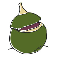 Courgette Editions logo - Similar company to Primento