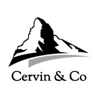 Cervin & Co logo - Similar company to Rba Groupe Financier