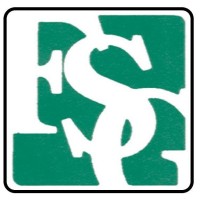 Financial Standards Group CPA LLC and Inc. logo - Similar company to Fcg Associates Llc