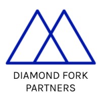 Diamond Fork Partners logo - Similar company to Boldrose Capital