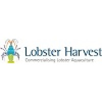 Lobster Harvest logo - Similar company to Mg Trading