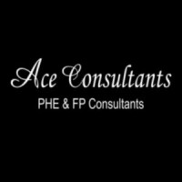 Ace Consultants logo - Similar company to Reliable Storage Systems