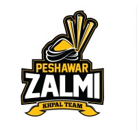 Peshawar Zalmi logo - Similar company to Multan Sultans