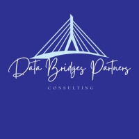 Data Bridges Partners logo - Similar company to Bridges Data Services