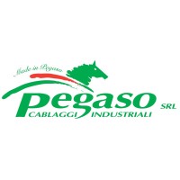 Pegaso Cablaggi Industriali logo - Similar company to Phoenix Cablaggi