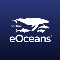 Blue Economy Consulting logo - Similar company to Longline Environment