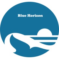 Blue Horizon logo - Similar company to Pce Power Fze