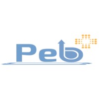 Pebplus Global Pvt. Ltd. logo - Similar company to Satec Envir Engg Pvt Ltd