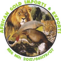 African Gold Imports & Exports logo - Similar company to Studex India