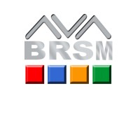 brsm logo - Similar company to Brs Academy