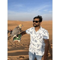 Mspices logo - Similar company to Five Star Cashews