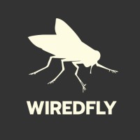 WIREDFLY logo - Similar company to Studio Kalz