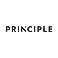 Principle Auto Group logo - Similar company to Vighter Llc