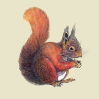 KELLING HEATH HOLIDAY PARK logo - Similar company to Chilli Willy'S