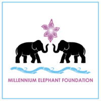 Millennium Elephant Foundation Sri Lanka logo - Similar company to Remember The Wild