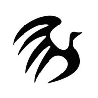 Image Arts Film Festival logo - Similar company to Revelios