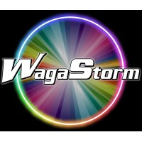 WagaStorm logo - Similar company to Trans Utrecht & Beyond
