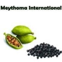 Meythoma international