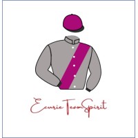 ECURIE TEAM SPIRIT logo - Similar company to Balfoul Travaux S.A.S