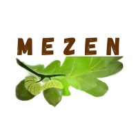 MEZEN logo - Similar company to Medicapt'Us