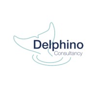 Delphino Consultancy B.V. logo - Similar company to Shinchoku