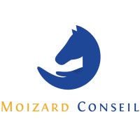 Moizard Conseil - Coaching Relationnel logo - Similar company to Acdl Expertise