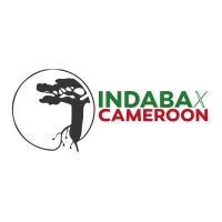 Deep Learning IndabaX Cameroon logo - Similar company to Indabax Cameroon