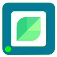 Digital Search Pros