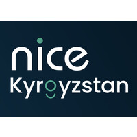 NICE KYRGYZSTAN logo - Similar company to Nice Global Impact