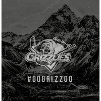 Utah Grizzlies logo - Similar company to Smith Entertainment Group