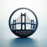 Blackbridge Finance logo - Similar company to Blackbridge Financial