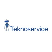 Teknoservice logo - Similar company to Emi Engineering Srl