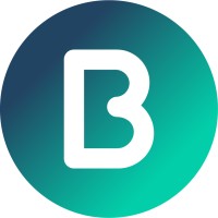 Balui Digital logo - Similar company to Rr Technology Ltd