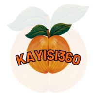 Kayısı360 logo - Similar company to Kayısı Kola