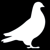 El Palomar Web