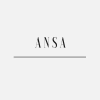 Ansa Industries logo - Similar company to Evan & Mayer International