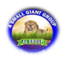A SMALL GIANT GROUP(AsGroup) logo - Similar company to Ecogreen Action Tanzania