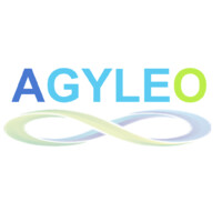 AGYLEO logo - Similar company to Lapss Conseil En Supply Chain Et Transport