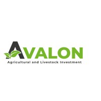 AVALON LEADING logo - Similar company to Tabadol Trading