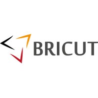 BriCut Tools Oy logo - Similar company to Diahon Werkzeuge Gmbh Und Co. Kg