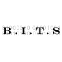 Branham IT Solutions LLC logo - Similar company to Blue Byte Technology Solutions Llc
