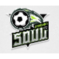 Chicago Soul FC logo - Similar company to Fourth Dimension Networks
