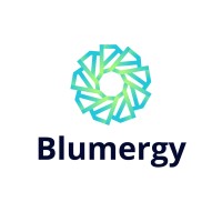 Blumergy logo - Similar company to Ez 4 Motion