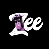 Zee Visual Dazzle logo - Similar company to Salam Official