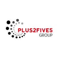 Plus2Five5 Group (T) Limited logo - Similar company to T-Bridge Technologies