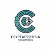 Cryptaesthesia Solutions OPC Private Limited logo - Similar company to Oayhub Private Limited