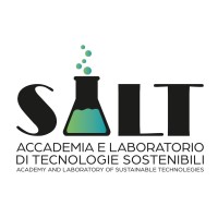 SALT srl logo - Similar company to Dermal Essence