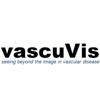 vascuVis logo - Similar company to Vascentis