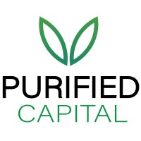Purified Capital logo - Similar company to Voxtonepro.Com