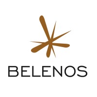BELENOS logo - Similar company to Belenos